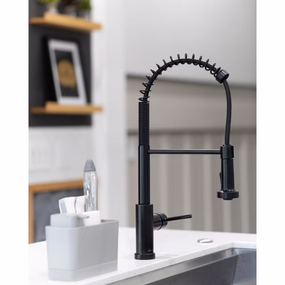 Glacier Bay Paulina Single Handle 2-Function Spring Neck Pull-Down Kitchen Faucet in Matte Black, Valve & Deck Plate Included
